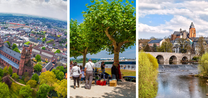 Bildergalerie: Lilien-Neuzugänge im Fokus: Bilder aus dem Bildergalerie: Lilien-Neuzugänge im Fokus: Bilder aus dem