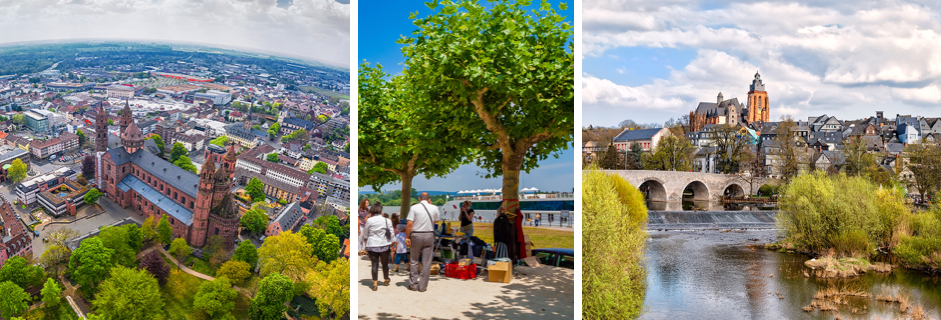 Bildergalerie: Lilien-Neuzugänge im Fokus: Bilder aus dem