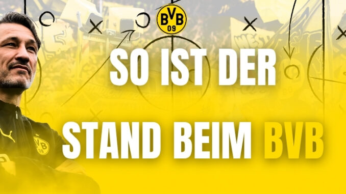 Stand der Dinge und aktueller Bedarf Stand der Dinge und aktueller Bedarf