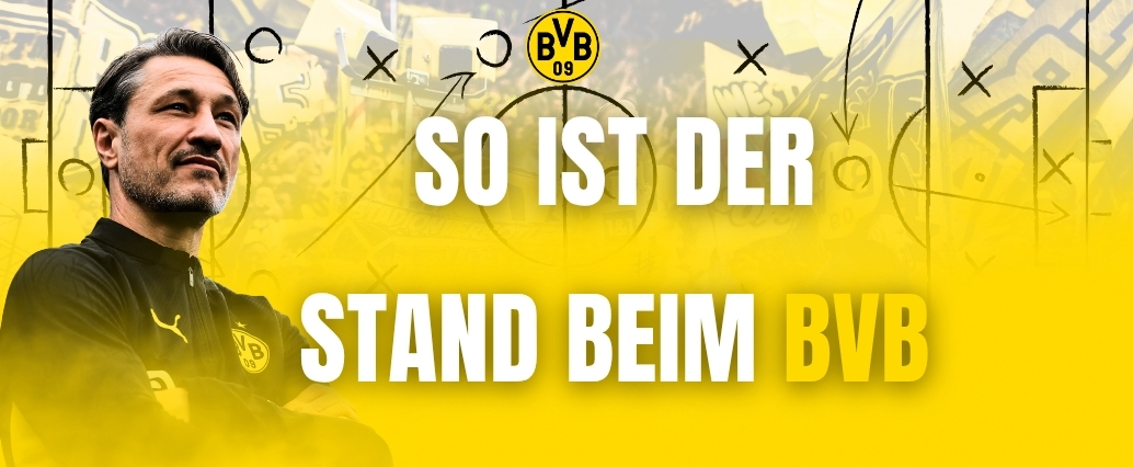 Stand der Dinge und aktueller Bedarf