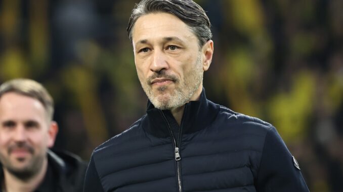 BVB zeigt Interesse an Aaron Anselmino – Chelsea-Talent BVB zeigt Interesse an Aaron Anselmino – Chelsea-Talent
