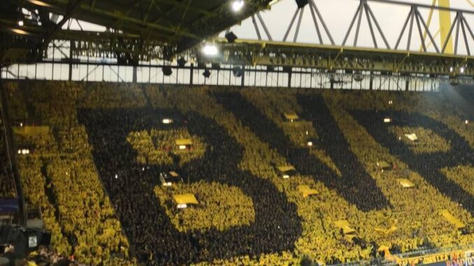 Veganes Stadionranking: Dortmund auf Platz 3 Veganes Stadionranking: Dortmund auf Platz 3
