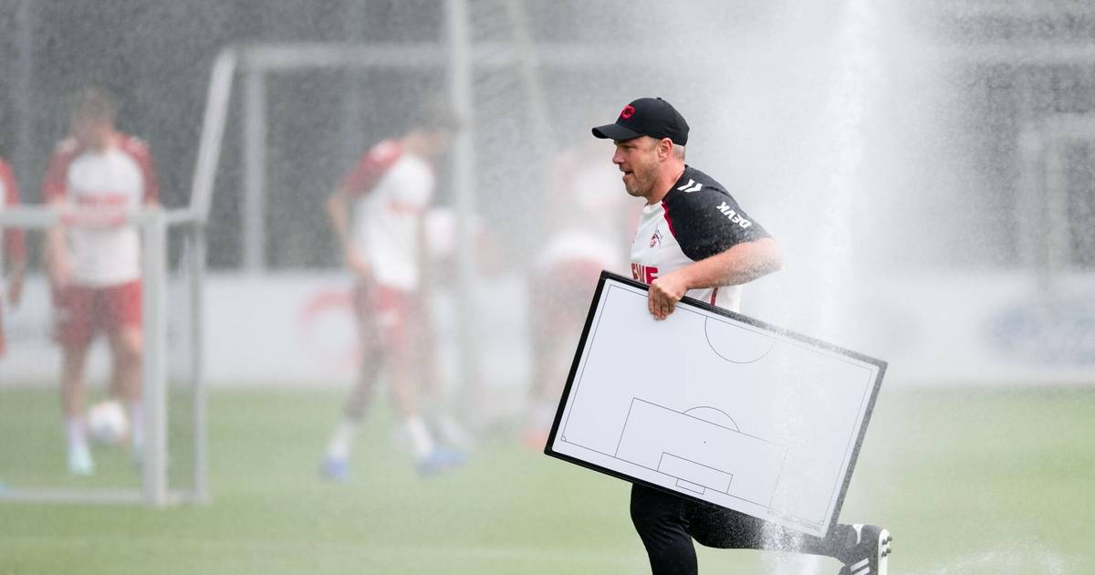 Die Kader-Baustellen des 1. FC Köln