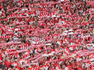 Fußball: OFC mit zweitem Geschäftsführer - Neuzugang aus