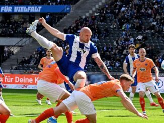 Junglilien von Darmstadt 98 im Aufwind
