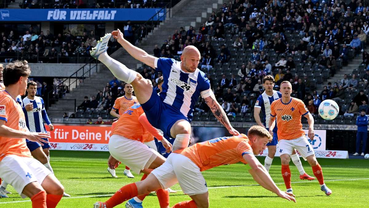 Junglilien von Darmstadt 98 im Aufwind