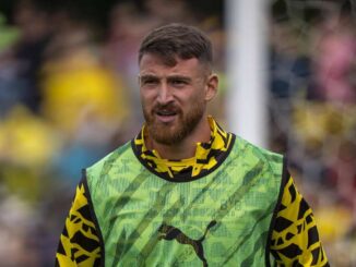 Bundesliga-Transfers des BVB: Mittelmaß-Falle sorgt für