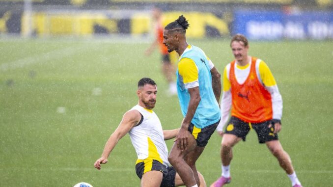 BVB trennt sich von Großverdiener BVB trennt sich von Großverdiener