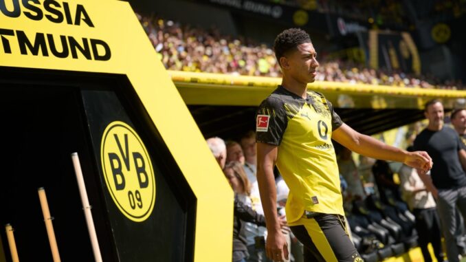 BVB reagiert auf angeblichen Katakomben-Wirbel BVB reagiert auf angeblichen Katakomben-Wirbel