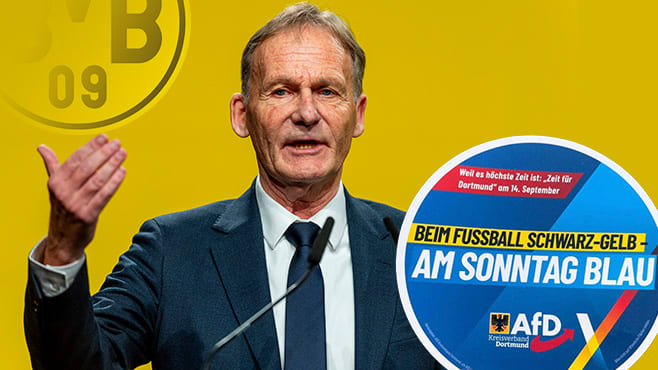 BVB wehrt sich gegen AfD-Spruch! Wahlwerbung sorgt für BVB wehrt sich gegen AfD-Spruch! Wahlwerbung sorgt für