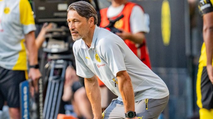 Warum die Bundesliga-Saison für Borussia Dortmund ein