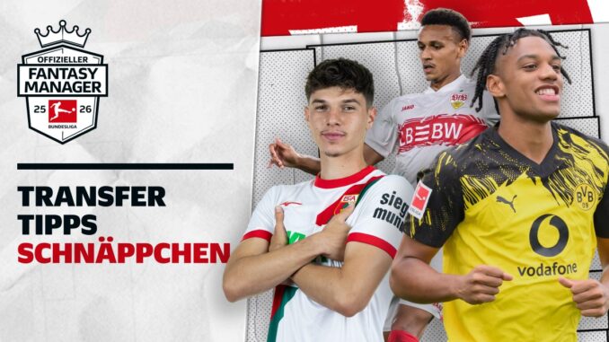 Fantasy Manager: Die besten Schnäppchen Fantasy Manager: Die besten Schnäppchen
