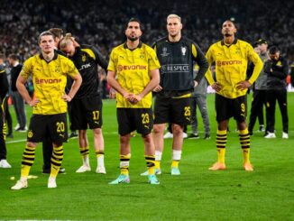 BVB wehrt sich gegen Wahlwerbung der AfD