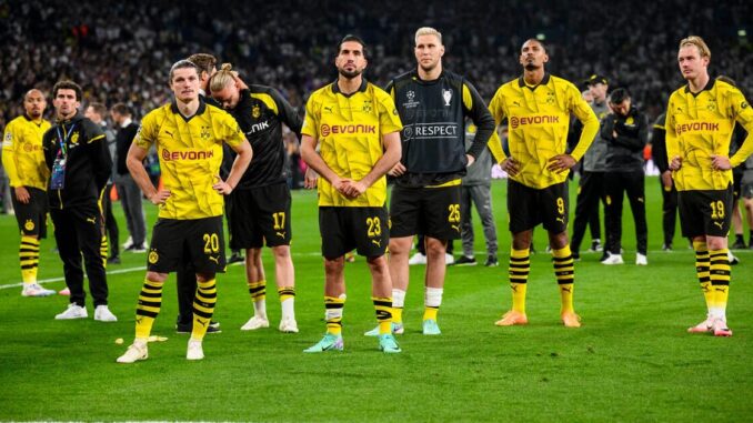 BVB wehrt sich gegen Wahlwerbung der AfD BVB wehrt sich gegen Wahlwerbung der AfD