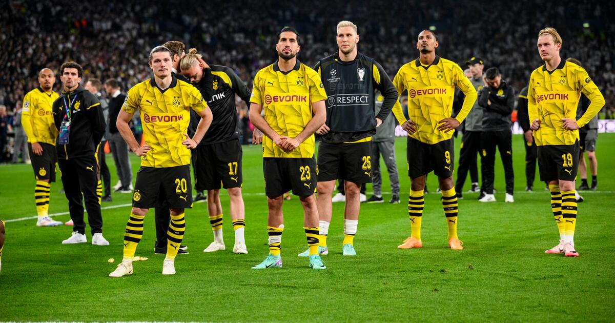BVB wehrt sich gegen Wahlwerbung der AfD