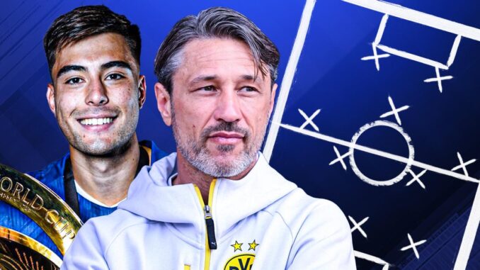 BVB stellt sich neu auf BVB stellt sich neu auf