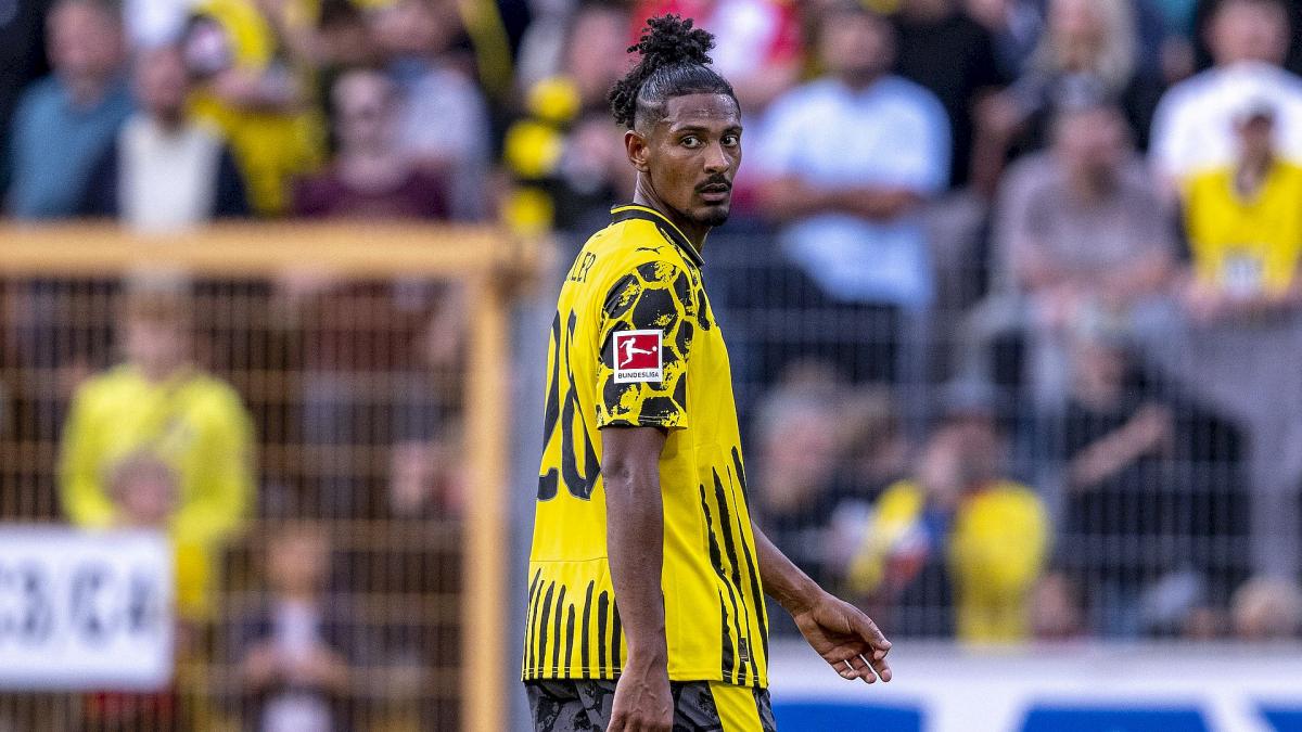 Neue Chance beim alten Meister: Überrascht Haller beim