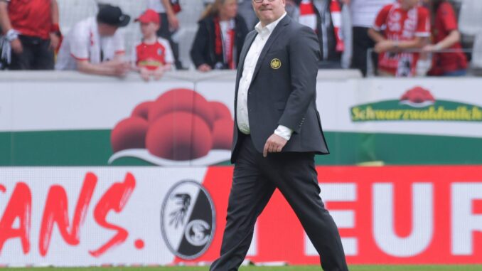 Diva in Lauerstellung - Hellmann: "BVB sieht uns im