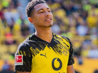 Transfers und Ausblick auf die neue Bundesliga