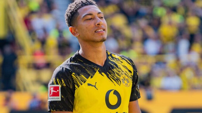 Transfers und Ausblick auf die neue Bundesliga