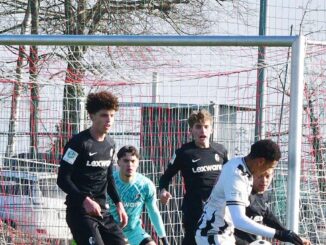 Fußball: Darmstadt schlägt Freiburg und Basel -