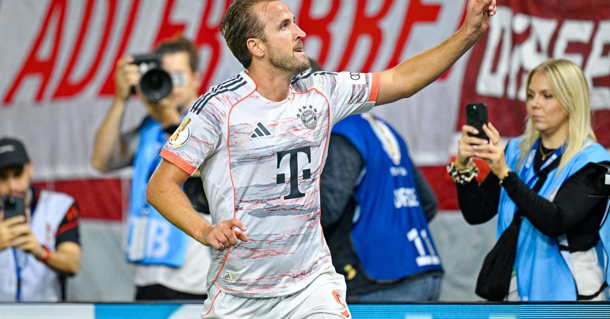 Rumpel-Bayern geben Rätsel auf – Aber „Ruhe bewahrt“