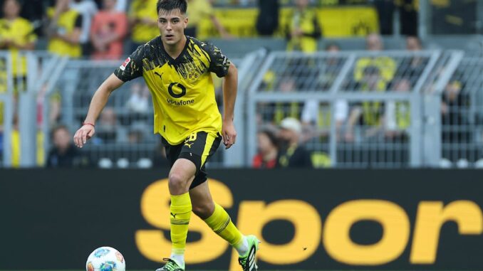 Keine Kaufoption beim neuen Fan-Liebling: So will der BVB