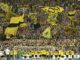Dortmund und Bayern im Fan-Ranking vorne