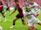 1. FC Kaiserslautern: Deutliche Lieberknecht-Ansage an