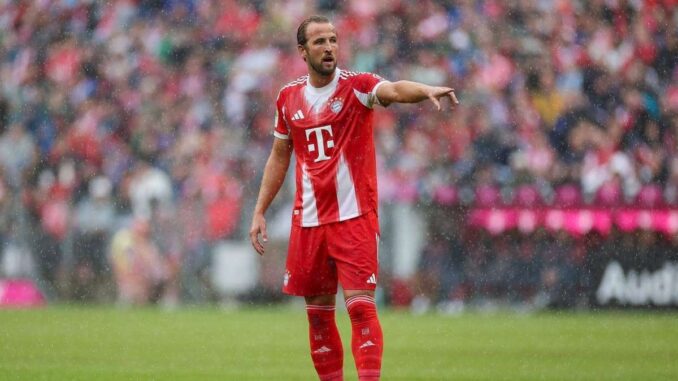 Guirassy besser als Kane? BVB-Stürmer sticht Bayern-Star Guirassy besser als Kane? BVB-Stürmer sticht Bayern-Star