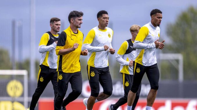 BVB arbeitet an Mega-Deal