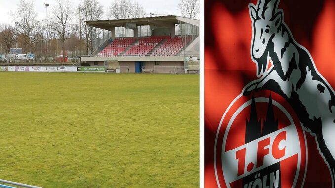 1. FC Köln statt Schalke 04: Traditions-Elf bei