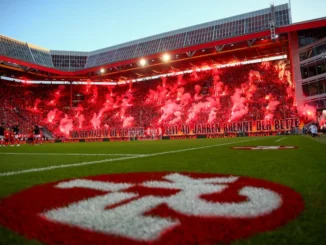FCK-Wochenrückblick: Stadion to go - Treffpunkt Betze