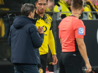 Stars von BVB und FC Bayern stehen zur Wahl