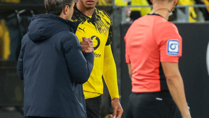 Stars von BVB und FC Bayern stehen zur Wahl