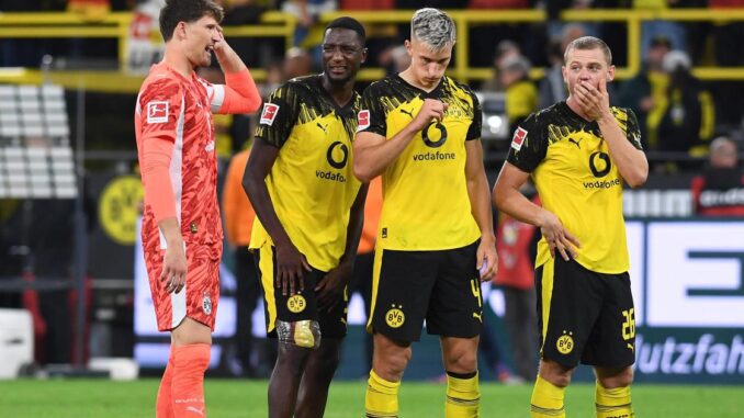 BVB im Fokus - Frau mit Behinderung für Likes im Netz