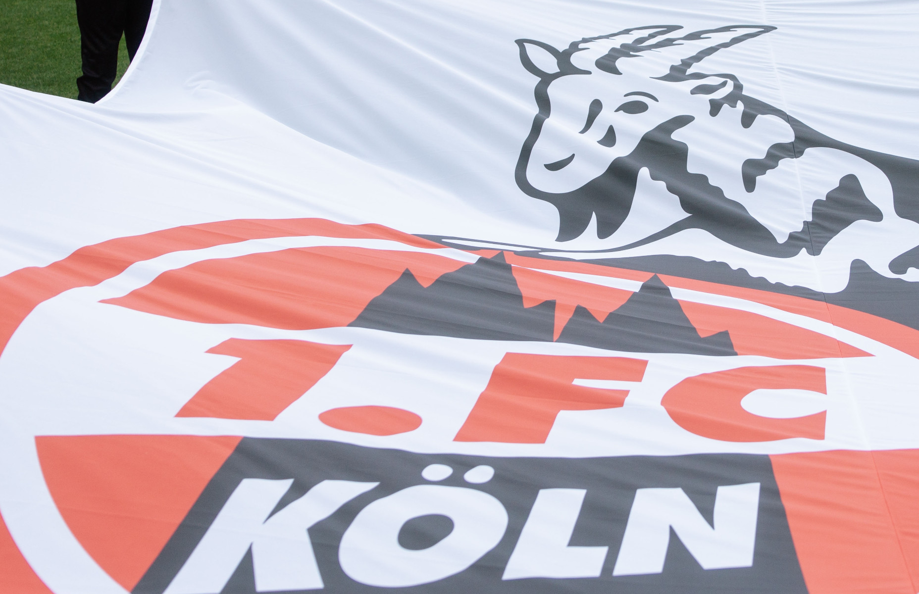 Frauenfußball – Köln gegen Leipzig live im TV und