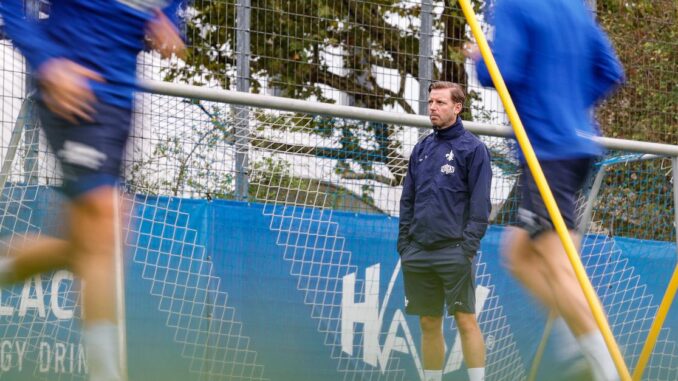 SV Darmstadt 98: Trainer Kohfeldt gibt Einblicke in