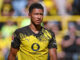 Die besten U20-Spieler der Welt: BVB-Juwel Bellingham