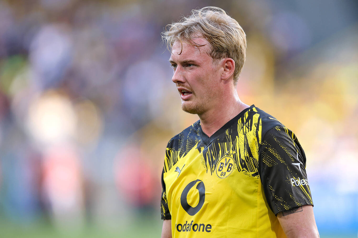 So plant der BVB mit Julian Brandt
