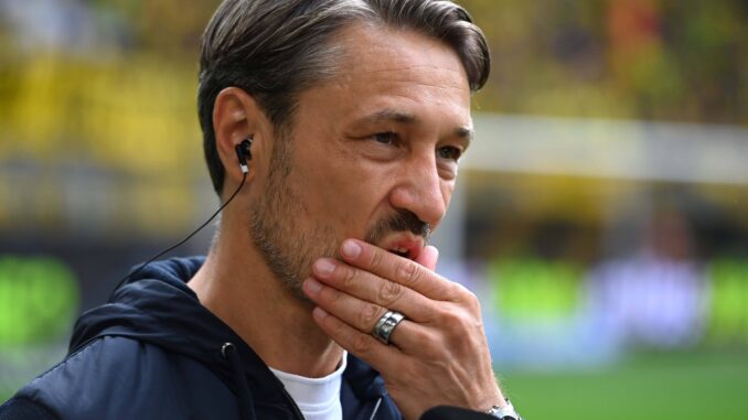 BVB in der Champions League chancenlos