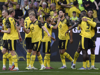 Die neuen Ratings der BVB-Profis im Überblick