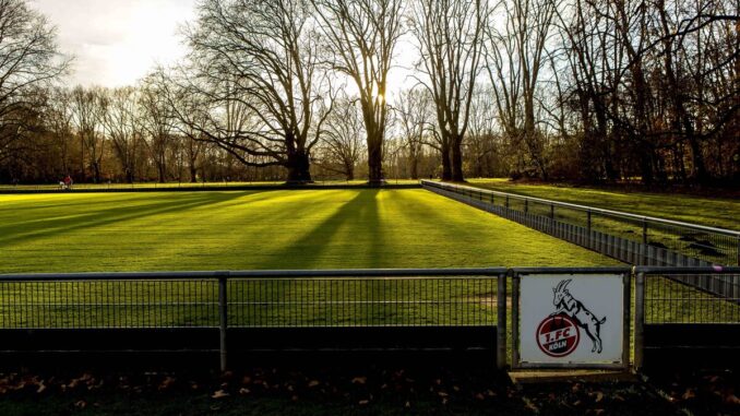 Fußball im Kölner OB-Wahlkampf: Mehr Fläche für den