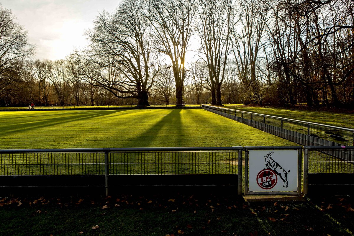 Fußball im Kölner OB-Wahlkampf: Mehr Fläche für den