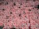 Fortuna Düsseldorf: Nächstes Spiel in der 2. Bundesliga