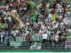 VfL Wolfsburg: Nächstes Spiel in der Bundesliga gegen den
