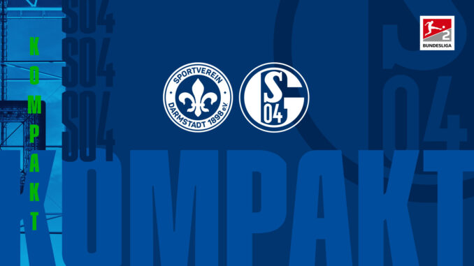 Königsblau kompakt: Alle Infos zu #SVDS04