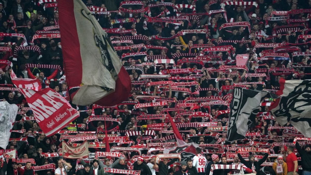 1. FC Köln: Ergebnisse in der Bundesliga und News im