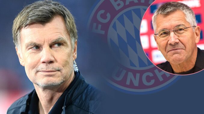 FC Bayern: Unschlagbar-Ansage! Thomas Helmer widerspricht