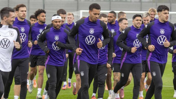 BVB gut, DFB gut? Warum Dortmund-Block kein gutes Omen